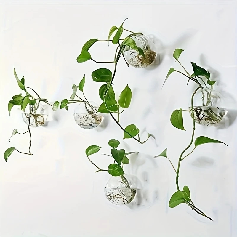 Self-Watering Planter - 2/4/6-pack wandhangend glazen terrarium - zelfwaterende