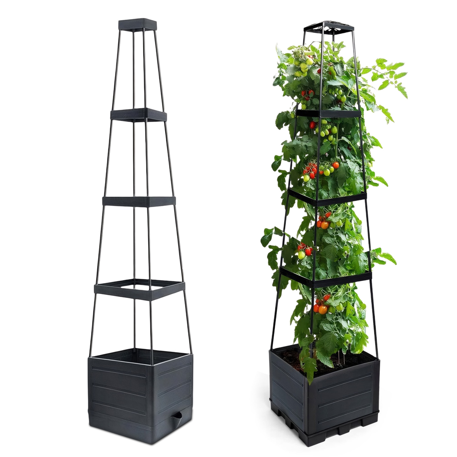 Self-Watering Planter - Verhoogde plantenbak met trellis, tomatenkooi en