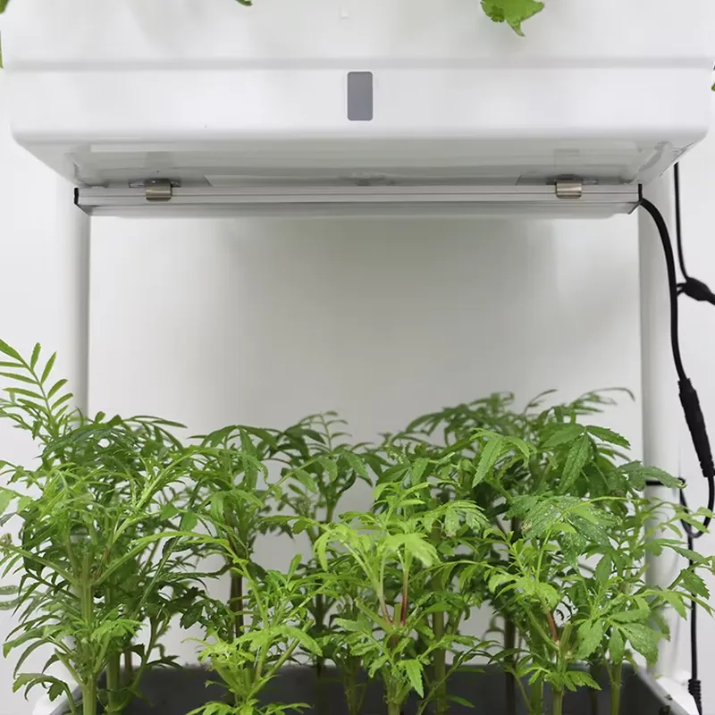 Verplaatsbaar verticaal 3-laag - Self-Watering Planter recensie en prijs