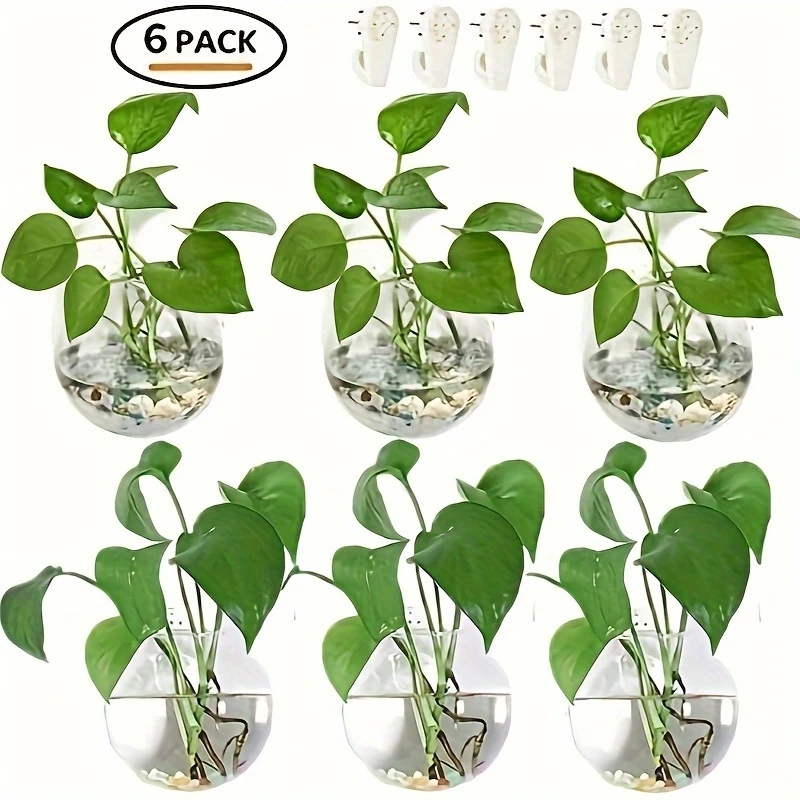 2/4/6-pack wandhangend glazen  - Self-Watering Planter recensie en prijs