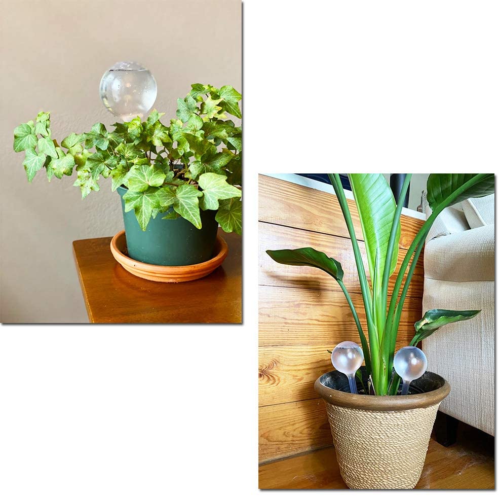 Automatische Plant Water Feede - Automatic Plant Waterer recensie en prijs