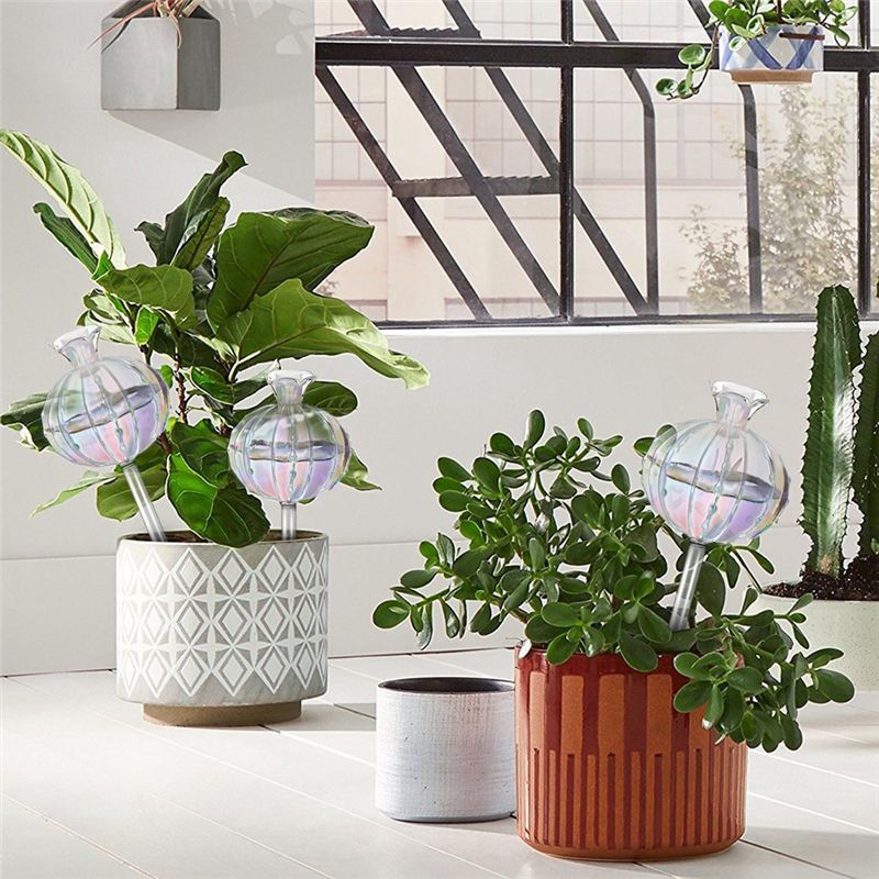 AA94-Plant Watering Bulbs Plan - Self-Watering Planter recensie en prijs